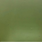 SF 528.2 SF - 16x24in - light olive green cathedral = COE96