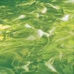 SF 826.92 SF - 12x16in - moss green cathedral with wispy white opal = COE96