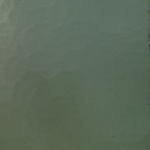 W 322 MY - 16x21in - Wissmach pale green tint mystic