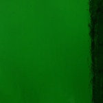 W 343 DR - 8x10in - Wissmach kelly green