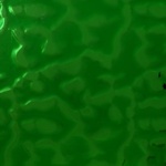 W 343 F - 8x10in - Wissmach kelly green Flemish