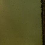 W 40CX S - 16x21in - Wissmach greenish amber seedy