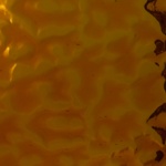 W 49 F - 8x10in - Wissmach medium amber flemish