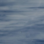 W 562 D - 16x21in - Wissmach white opal/midnight blue